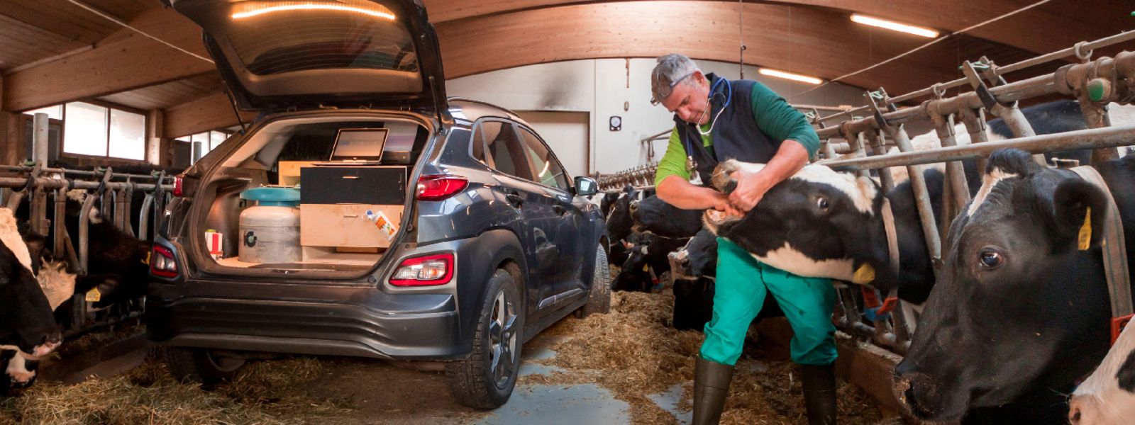 Foto: Karsten Pfeifer www.copyright.erfolgsphoto.de