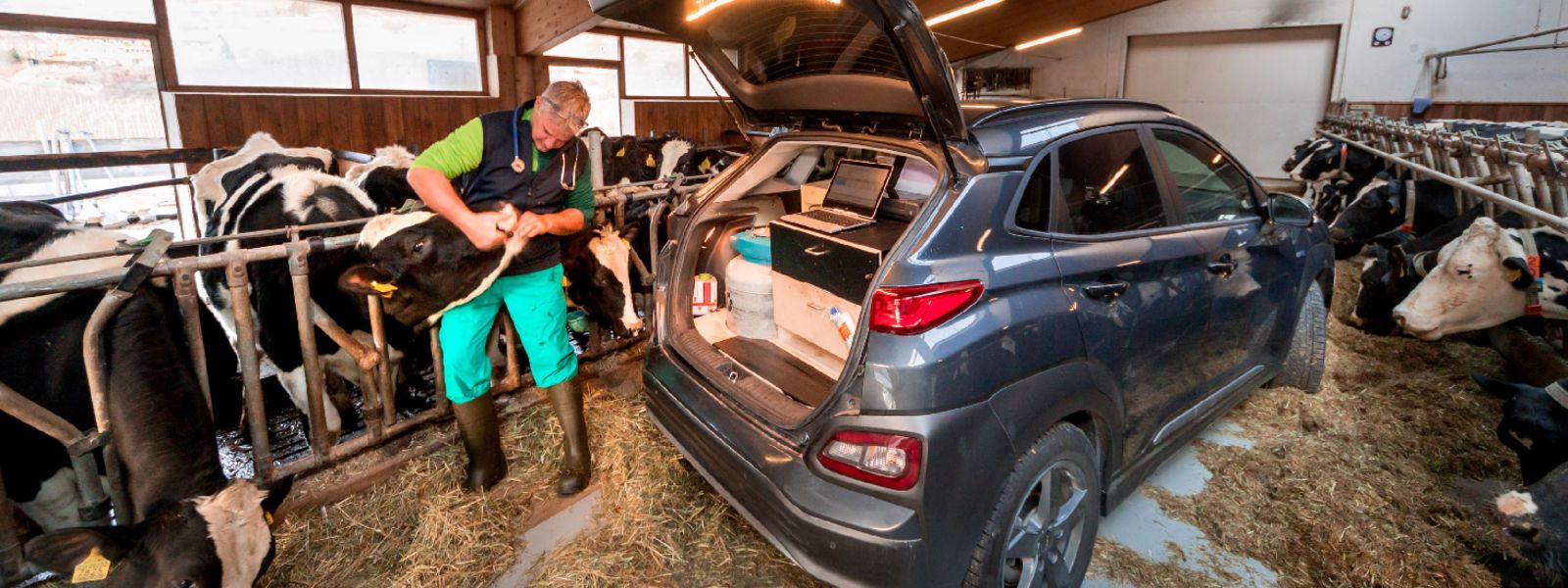 Foto: Karsten Pfeifer www.copyright.erfolgsphoto.de